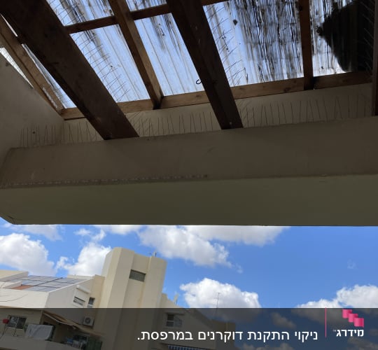 קוצים למניעת יונים על גג פרגולה שקופה